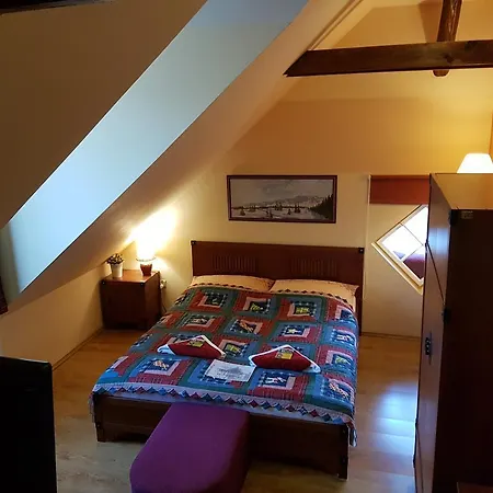 Vila Kalinciak Aesculap Penzion