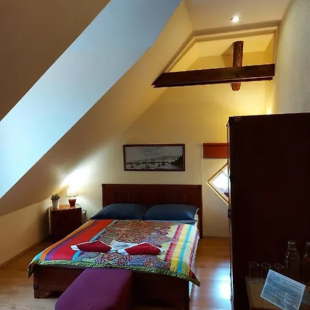 Vila Kalinciak Aesculap